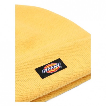 CZAPKA DICKIES GIBSLAND APRICOT