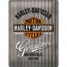 Blacha 30x40cm Harley-Davidson Wall