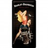 PLAKAT 25 X 50CM HARLEY-DAVIDSON BABE